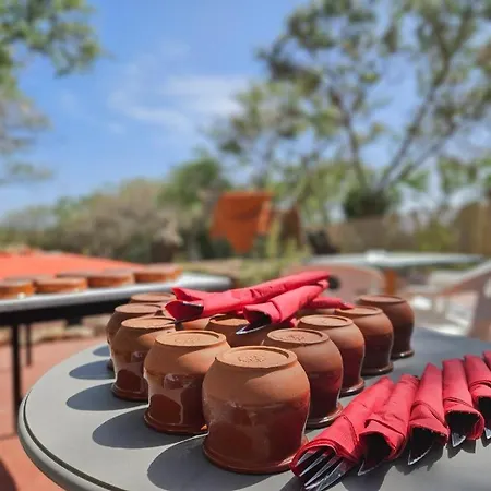 Pensión Avestruz San Isidro (Tenerife)