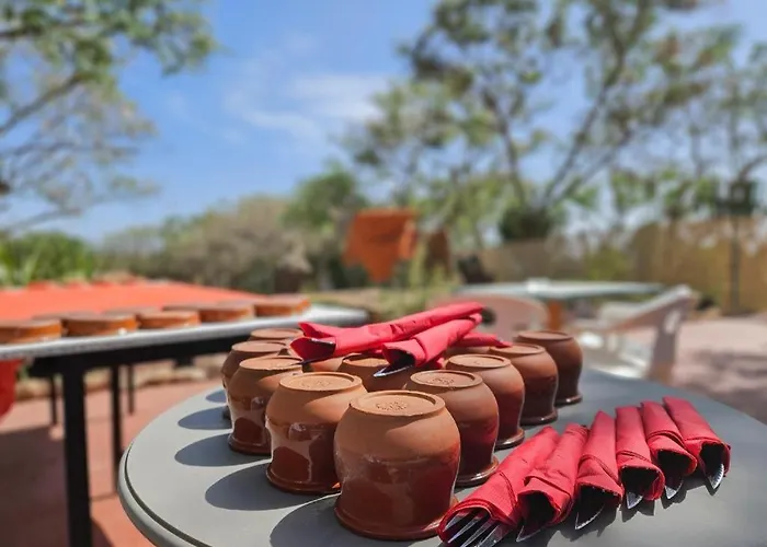 Pensión Avestruz San Isidro (Tenerife)